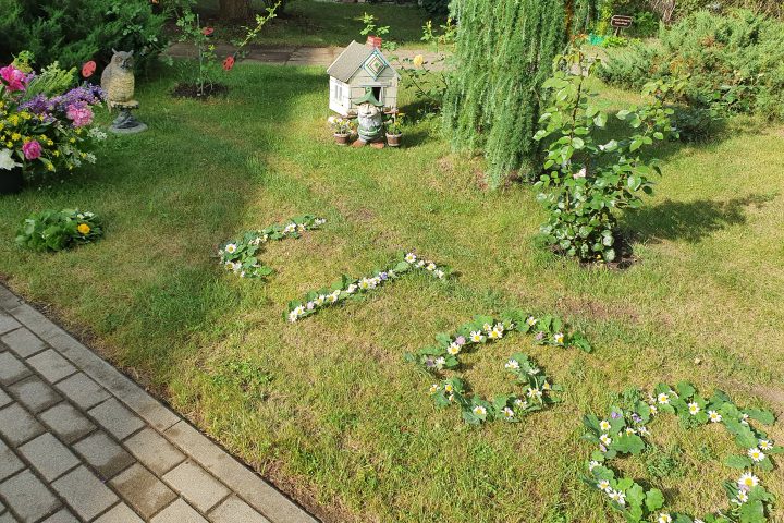 ,,Līgo saule, līgo bite, līgo visa radībiņa”